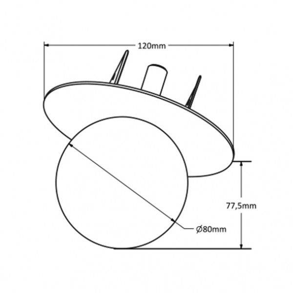 Georges D12 IN